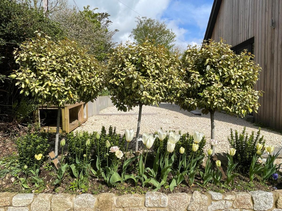 Cedar House Konuk evi Ilsington Dış mekan fotoğraf